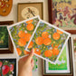 🍊 smell of citrus square print
